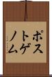 ポストゲノム Scroll
