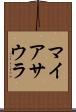 マイアサウラ Scroll