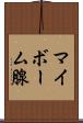 マイボーム腺 Scroll