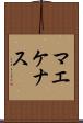 マエケナス Scroll