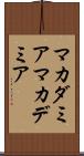 マカダミア Scroll