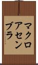 マクロ・アセンブラ Scroll