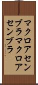 マクロアセンブラ Scroll