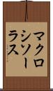 マクロシソーラス Scroll