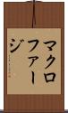 マクロファージ Scroll