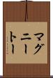 マグニートー Scroll