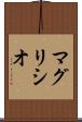 マグリシオ Scroll