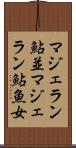 マジェラン鮎並 Scroll