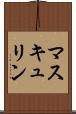 マスキュリン Scroll