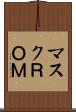 マスクＲＯＭ Scroll