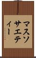 マス・ソサエティー Scroll