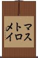 マストロメイ Scroll