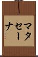 マタセーナ Scroll