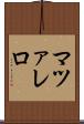 マツァレロ Scroll