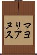 マヨリアヌス Scroll
