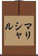 マリシャル Scroll