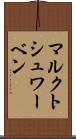 マルクトシュワーベン Scroll