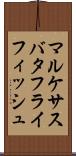 マルケサスバタフライフィッシュ Scroll