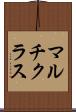 マルチクラス Scroll