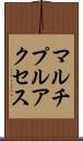 マルチプルアクセス Scroll