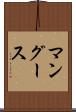 マングース Scroll