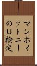 マン・ホイットニーのＵ検定 Scroll