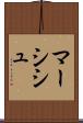 Marcisz Scroll