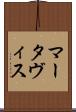 Martavis Scroll