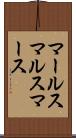 マールス Scroll