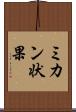 ミカン状果 Scroll