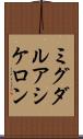 ミグダルアシケロン Scroll