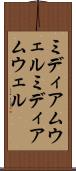 ミディアムウェル Scroll