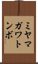 ミヤマガワトンボ Scroll