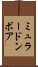 ミュラードンボア Scroll
