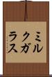 ミルク・ガラス Scroll