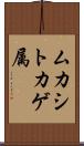 ムカシトカゲ属 Scroll