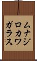ムナジロカワガラス Scroll