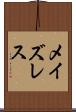 メイズレス Scroll