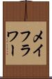 メイフラワー Scroll