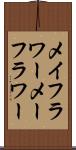 メイフラワー Scroll