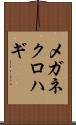 メガネクロハギ Scroll
