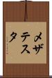 メザテスタ Scroll