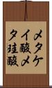 メタケイ酸 Scroll