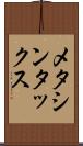 メタシンタックス Scroll