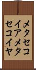 メタセコイア Scroll