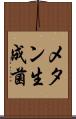 メタン生成菌 Scroll