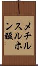 メチルスルホン酸 Scroll