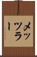 メッツラー Scroll