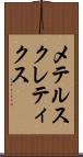メテルスクレティクス Scroll