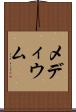 メディウム Scroll